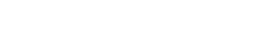 Paradise Store®